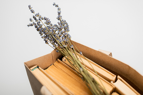 close up view of lavender flowers and books in shopping bag isolated on grey