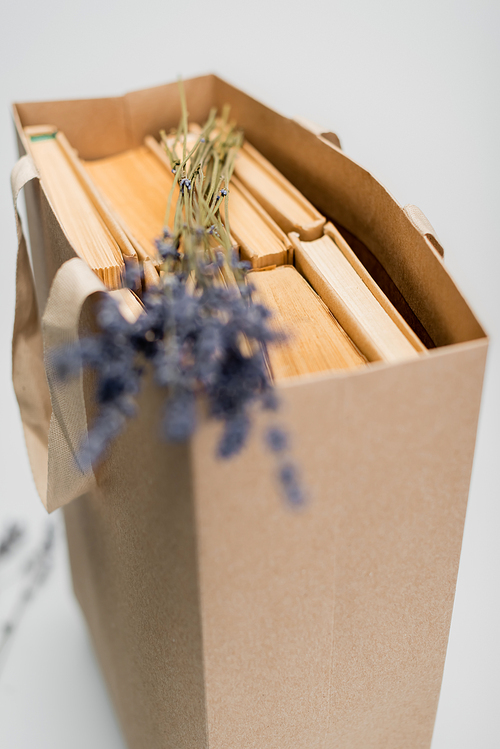 shopping bag with books and blurred lavender flowers isolated on grey