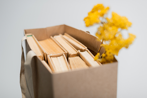 blurred shopping bag with books and dried yellow flowers isolated on grey