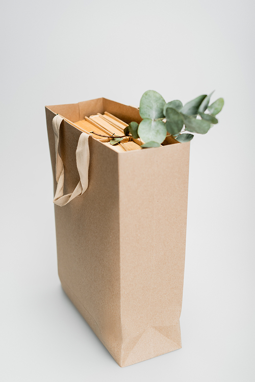 shopping bag with books and dried plant with green leaves on grey background