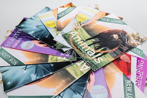 top view of beauty, shopping and naturalistic magazines isolated on grey