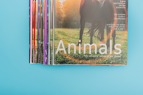 top view of colorful animals magazines isolated on blue