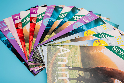 collection of colorful naturalistic magazines isolated on blue