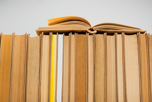 row of books collection isolated on grey