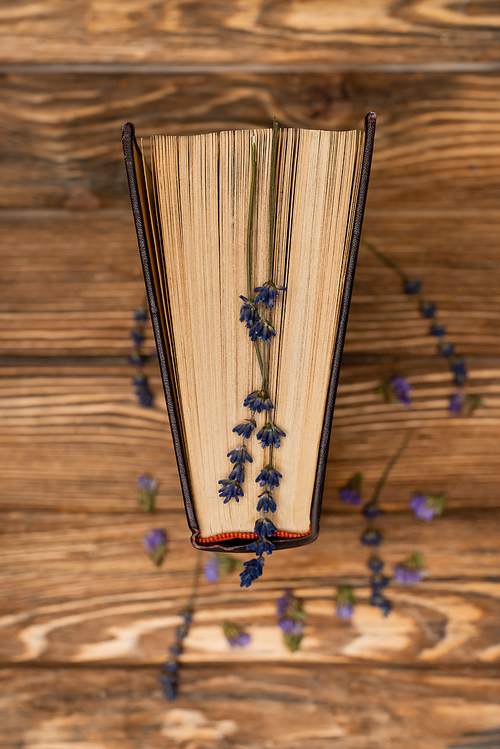 top view of dried lavender flowers and book on blurred wooden desk