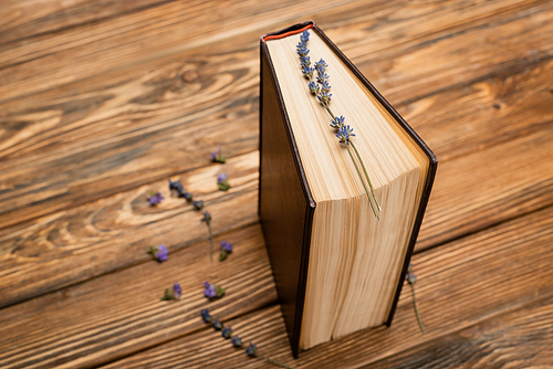 high angle view of book and lavender flowers on brown wooden surface