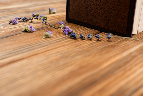 book and dried lavender flowers on blurred wooden surface