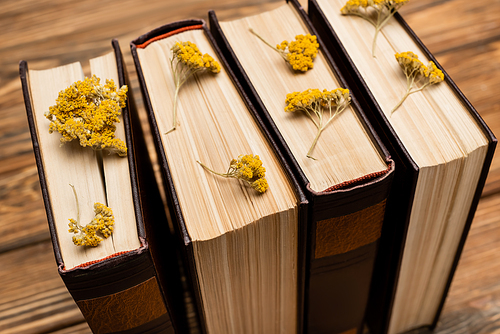 close up view of dried yellow flowers and books on blurred wooden surface