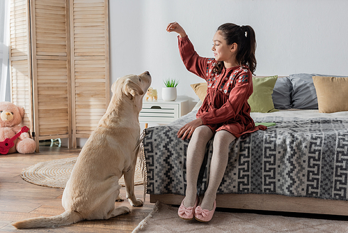 full length view of cheerful girl playing with labrador while sitting on bed