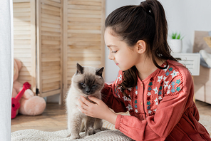brunette girl with ponytail stroking cat at home