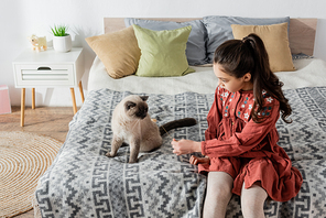 high angle view of girl with spikelet playing with cat on bed