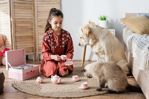 girl holding toy cup and saucer while sitting on floor with dog and cat