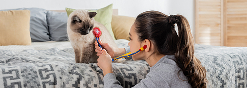 girl with ponytail examining cat with toy stethoscope at home, banner