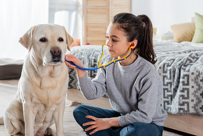 brunette girl with ponytail examining labrador dog with toy stethoscope