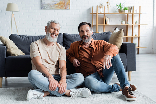 Smiling homosexual couple  in living room