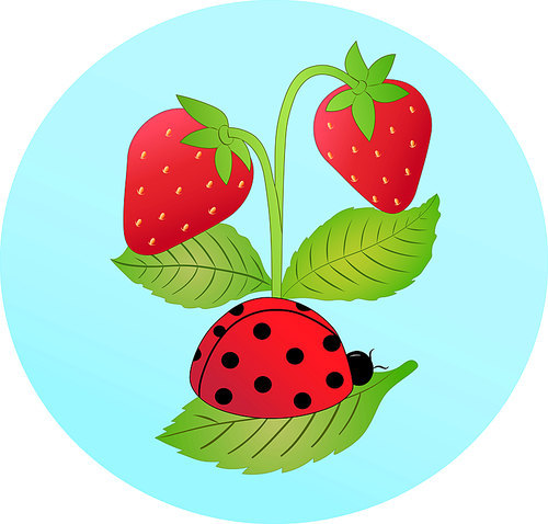 illustration of ladybug on leaf near red strawberries,stock image