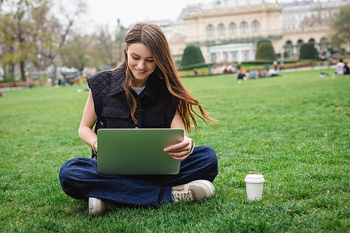 cheerful young woman using laptop while sitting on lawn