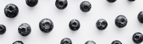 Flat lay with fresh blueberries on white background, banner