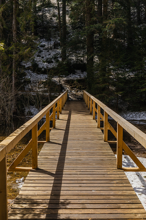 Wooden bridge and spruce trees in spring forest