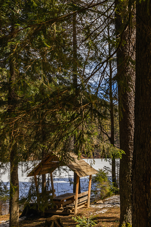 Wooden alcove in spruce forest near lake