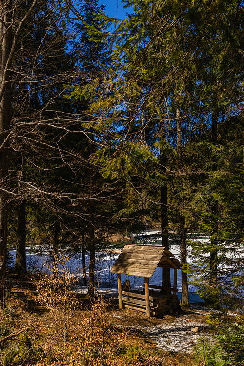 Wooden alcove near evergreen trees and snow on ground in spring