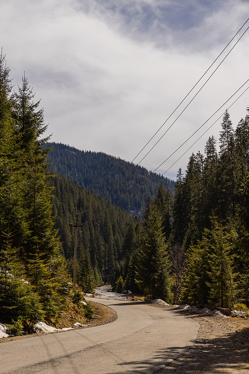 Empty road, evergreen forest and mountains in spring