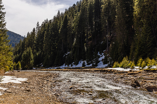 River near mountain forest in spring