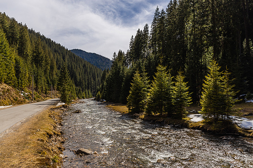 Empty road near mountain river and spruce forest