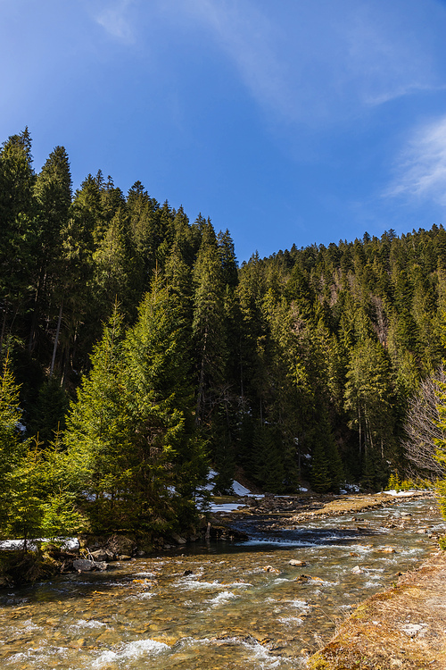 Mountain river and forest with blue sky at background