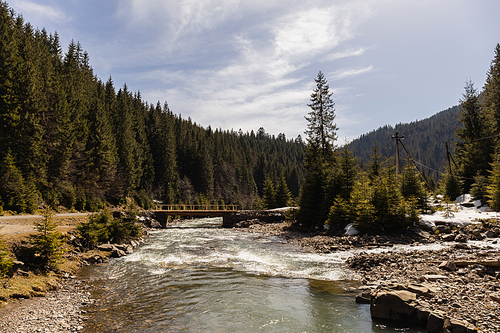 Mountain river, wooden bridge and forest in spring