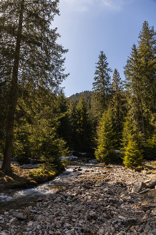 Stones on shore near river and mountain forest