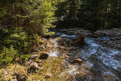 High angle view of mountain river with stones in forest