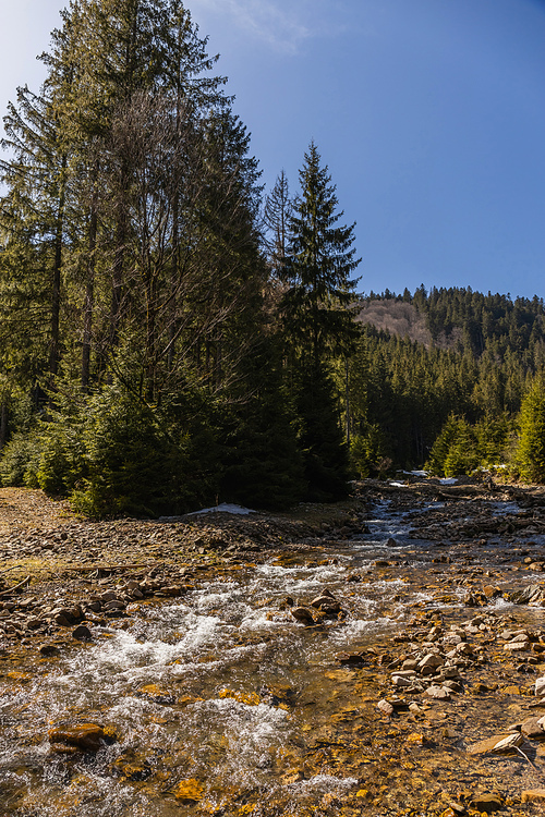 Mountain river with stones and trees on shore with blue sky at background