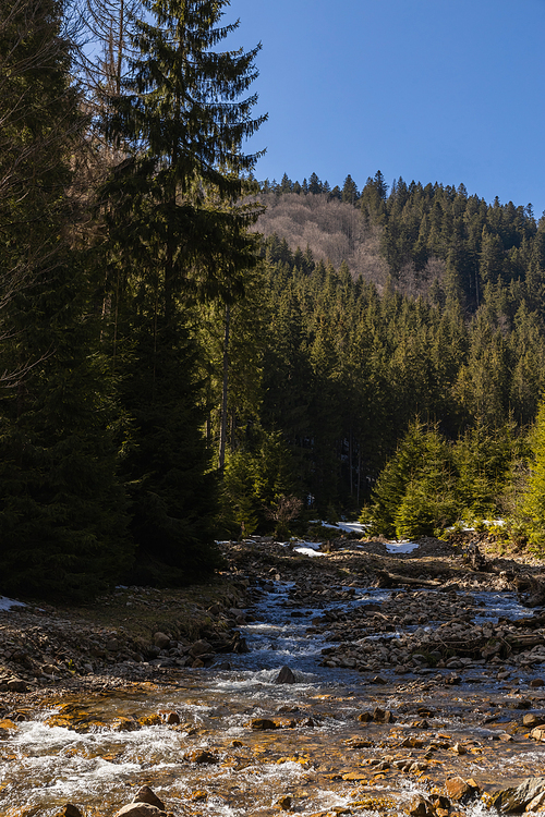 Mountain river with sunlight and forest on mountain at daylight