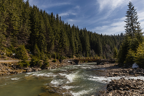 Mountain river with bridge and evergreen forest at background