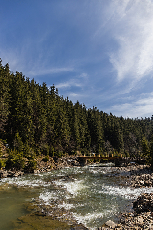 Mountain river with bridge and forest at background