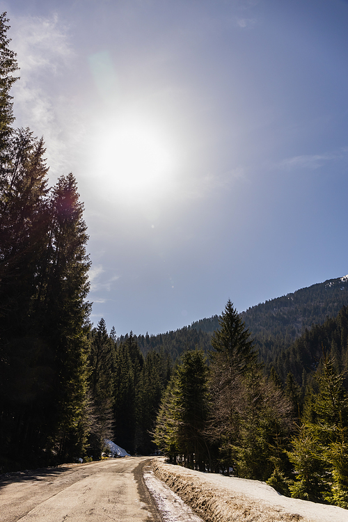 Empty road in mountain forest with sun in sky at background