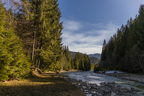 Scenic view of evergreen forest, mountain river and blue sky