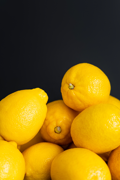 Close up view of organic lemons isolated on black with copy space