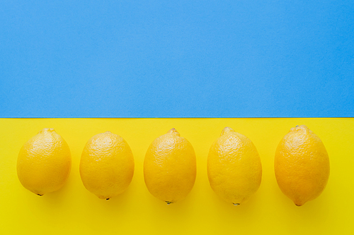 Top view of row of lemons on blue and yellow background