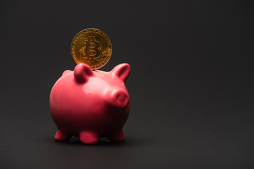 KYIV, UKRAINE - APRIL 26, 2022: Close up view of golden bitcoin on piggy bank on black background