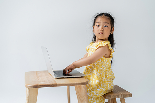 asian preschooler girl in yellow dress using laptop and  isolated on grey