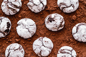 Top view of cookies with powdered sugar on cocoa surface
