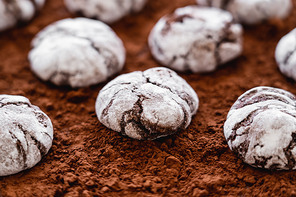 Close up view of cookies on cocoa powder