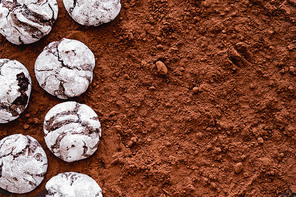 Top view of cookies with powdered sugar on cocoa
