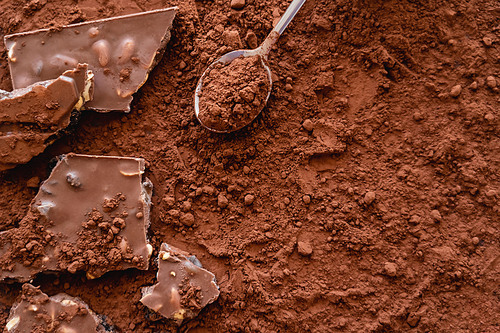 Top view of chocolate and spoon on dry cocoa powder