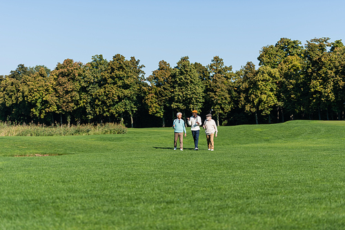 interracial senior men walking with golf clubs on field