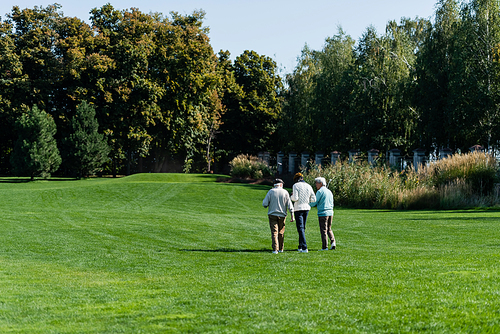 back view of senior interracial friends walking on green field with golf clubs