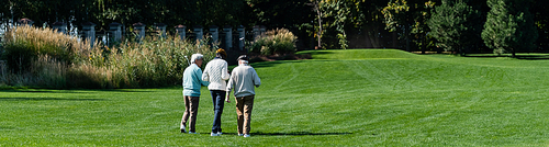 back view of senior interracial friends walking on green field with golf clubs, banner