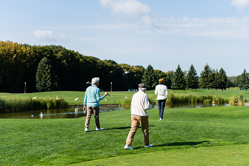 back view of senior multiethnic men with golf clubs walking near pond with swans